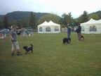 IMG 0112