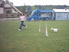 IMG 0122