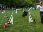 2007.09.01 Agility Training unter Turnierbedingungen