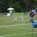 PICT0039