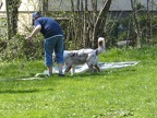 BILD0152