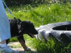 BILD0161
