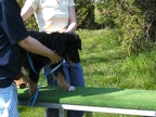 BILD0164