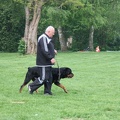 IMG 0758