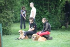 IMG 0783