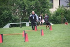 IMG 0784