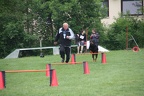 IMG 0785