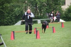 IMG 0789
