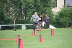 IMG 0795