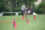 IMG 0796