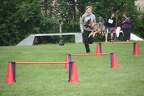 IMG 0798