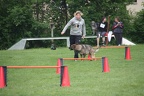 IMG 0799