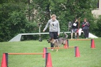 IMG 0800