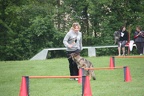 IMG 0801