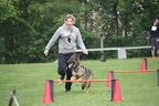IMG 0802