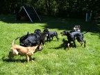 BILD0208
