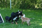 BILD0213