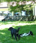 BILD0218