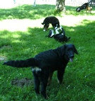 BILD0223