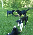BILD0233
