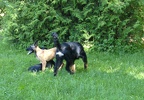BILD0240