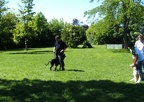 BILD0254