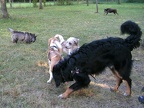 BILD4077