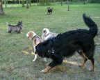 BILD4078