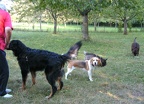 BILD4079