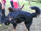 BILD4082