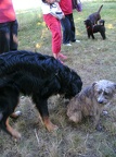 BILD4089
