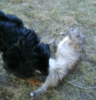 BILD4092