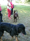 BILD4094