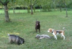 BILD4098
