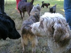 BILD4100
