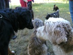 BILD4101