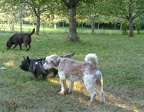 BILD4104