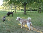 BILD4105