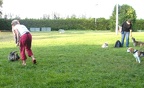 BILD4110