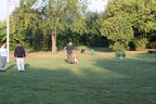 IMG 1284