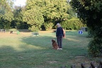 IMG 1302