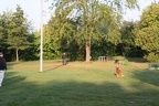 IMG 1304