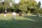 IMG 1311