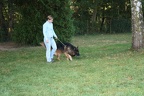 IMG 1331