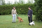 IMG 1478