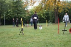 IMG 1495