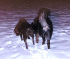 BILD6400
