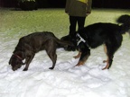 BILD6403