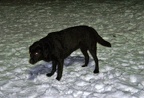 BILD6405