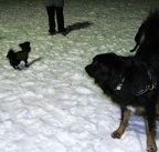 BILD6406